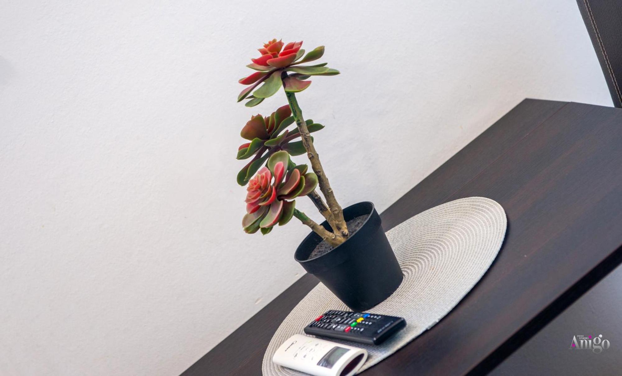 Apartments Enigma - With Private Parking Мостар Экстерьер фото